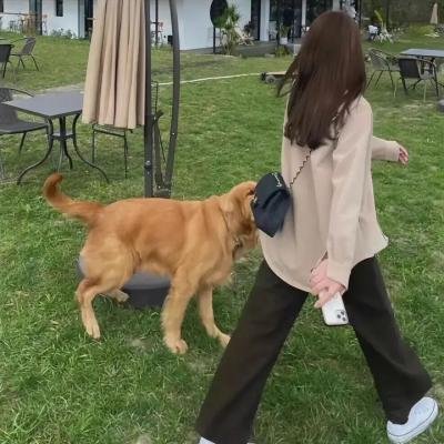 翅膀下的风